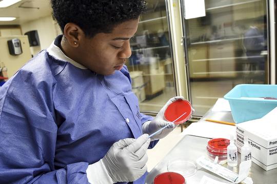 Behind the Scenes of Comfort's Microbiology Lab